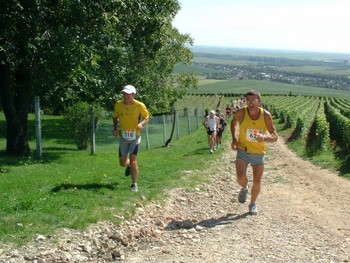 Plus plat les 100km de Sologne