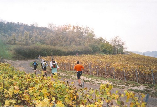 Montée vers Monthelon 30km