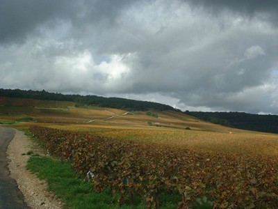  Magnifique couleurs