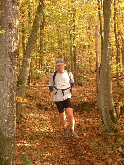 En forêt sur les feuilles d'automne