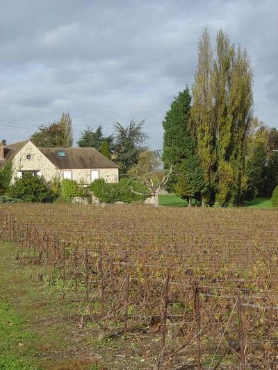 Vignoble de Champagne