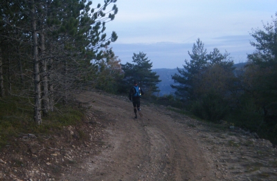 endurance_trail_037.jpg