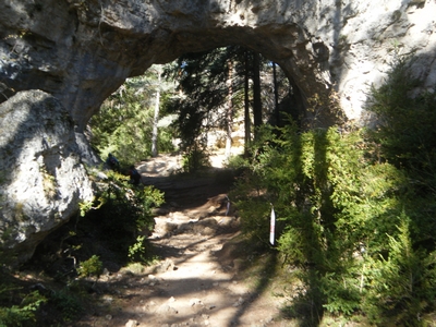 endurance_trail_054.jpg