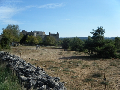 endurance_trail_059.jpg