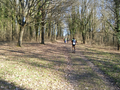 raid_28_2011_041.jpg