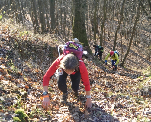 raid_28_2011_042.jpg