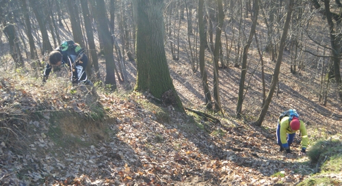 raid_28_2011_043.jpg