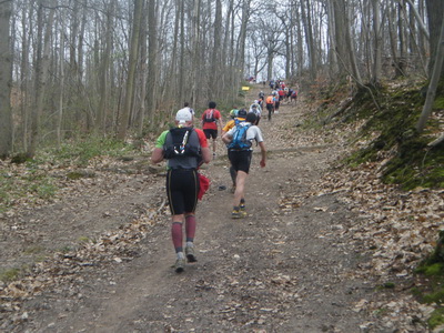 Ca grimpe encore!
