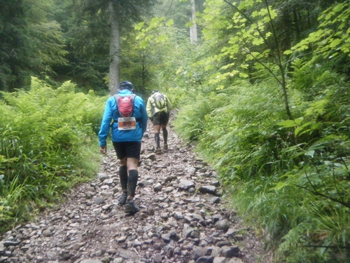 Avant dernière grosse montée : le collet de la Mine (500m de cailloux), restera la longue remontée plus 