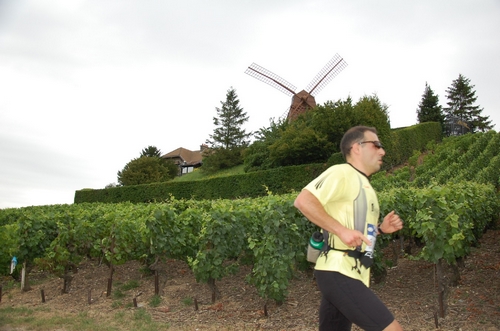 Paulo DE MAGALHAES sous le moulin de Verzenay