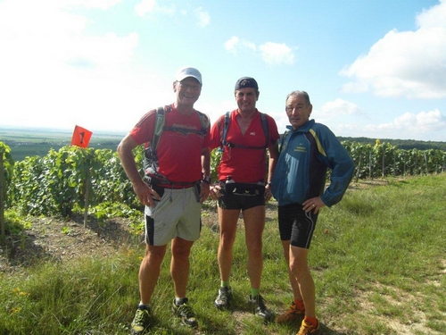 ...dans les vignes