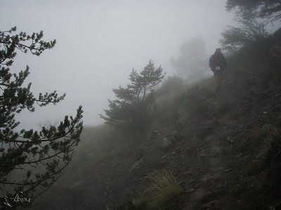 Trail-Ubaye-Salomon-2011-_87_.jpg