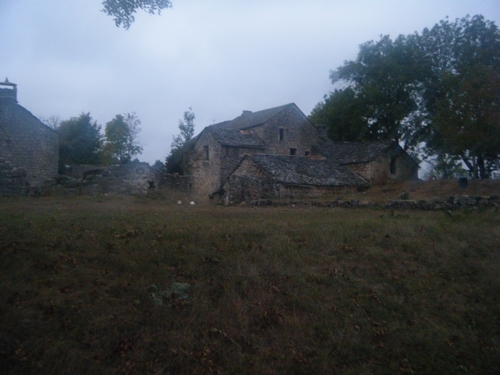 014-3.jpg