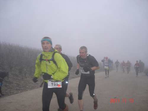 tenace le brouillard 