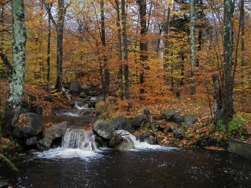 2011_quebec_290.jpg