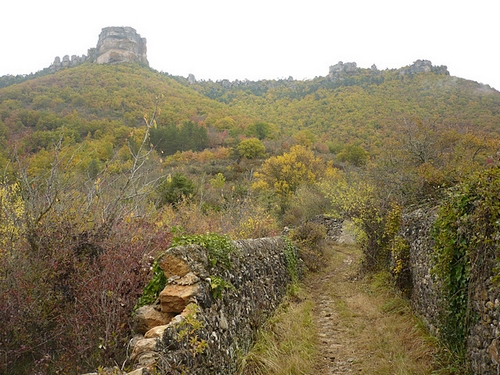 P1120356.jpg