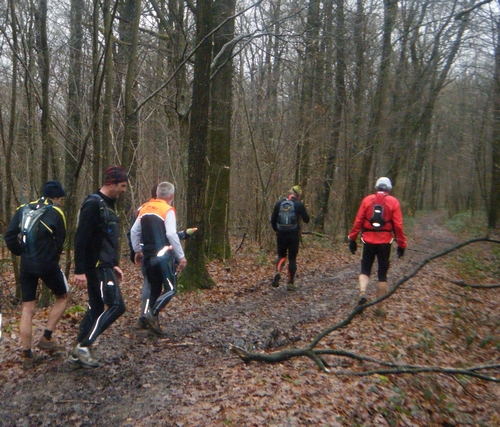 Forêt de GRAUVES