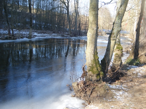 la rivière 