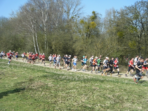 C'est parti  (je suis obligé de faire un peu de tout terrain)