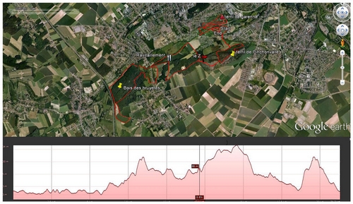 Parcours et profil