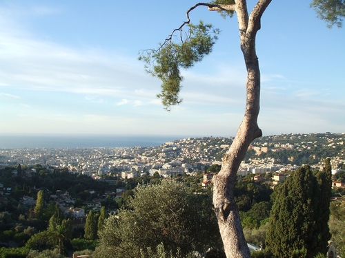 Ca change du paysage de Champagne