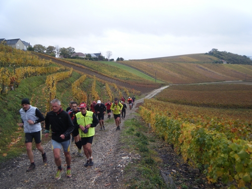 8ème km : après 7km de plat (échauffement) 1ère côte vers Hautvillers