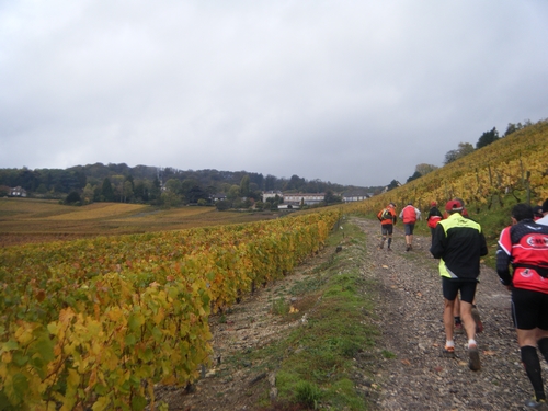 8ème km de dos, au fond Hautvillers