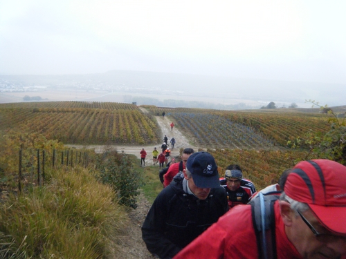 11ème km au dessus du village de Cumières 