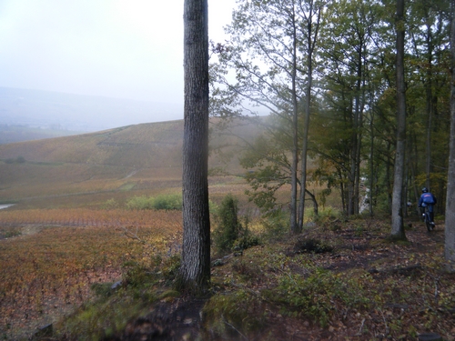 13ème km entre vignes et forêts