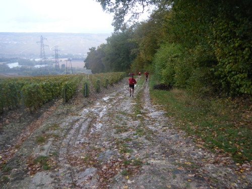19ème km : ça monte raide jusqu'au plateau forestier
