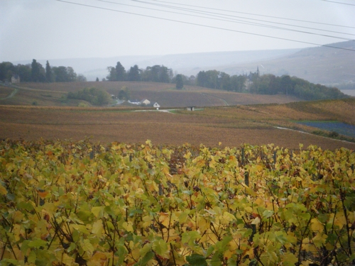 au fond, le château de Boursault....pour ceux qui connaissent!!