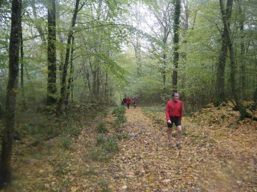 20ème km  puis 2 kms de plats en forêts 