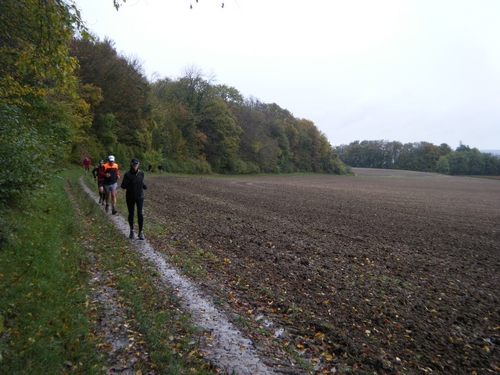 25ème km , en lisière de bois en direction de la ferme de St Antoine