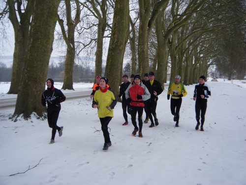 Beaucoup de neige sous les platanes