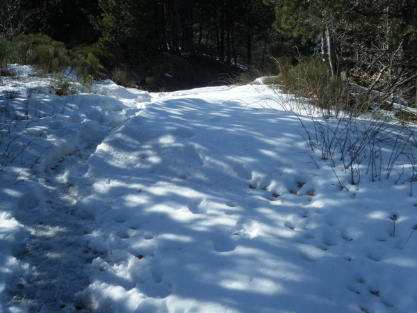 15 à 20cm de neige au sommet