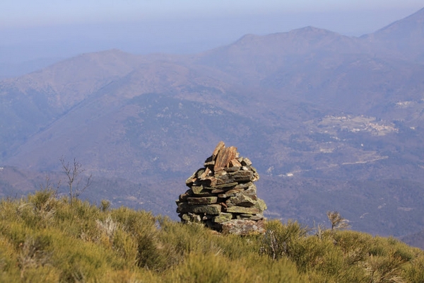 Paysage cévenole 