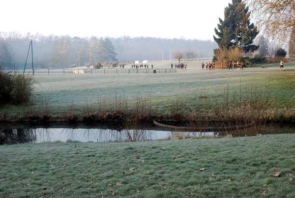 petite gelée matinale