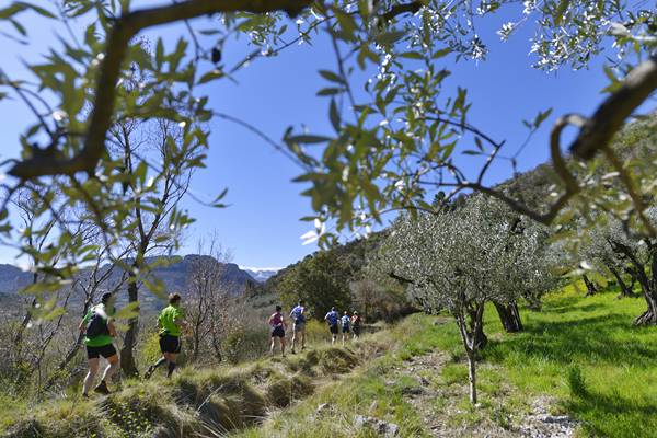 C'est (enfin) le printemps