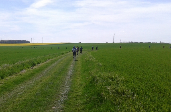 plein champs sur des chemins bien roulants