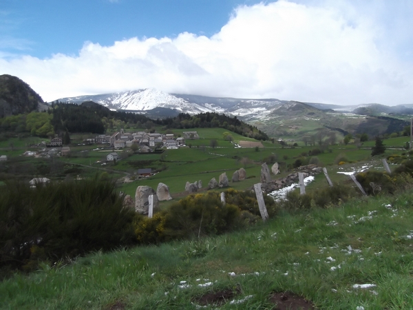 DSCF0397.jpg