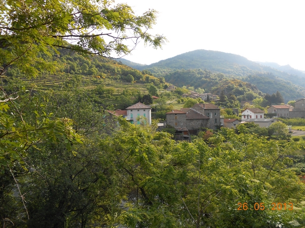 DSCN0430.jpg