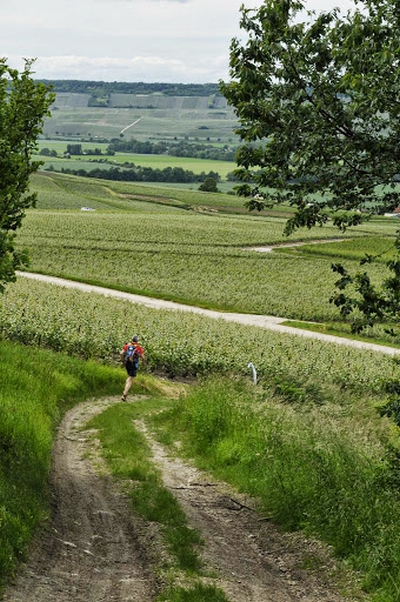 Vallonné...