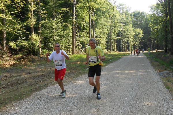 Jacky en forêt