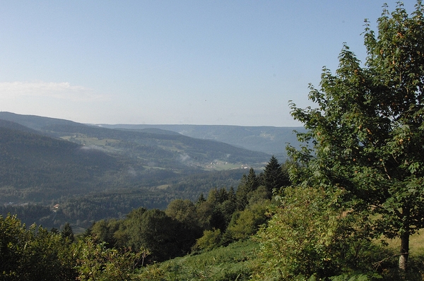 le terrain de jeu....