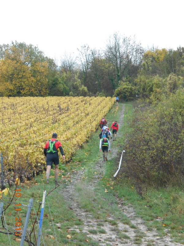 Montée vers Monthelon (ravito)