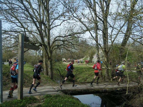 DSCF6356.jpg