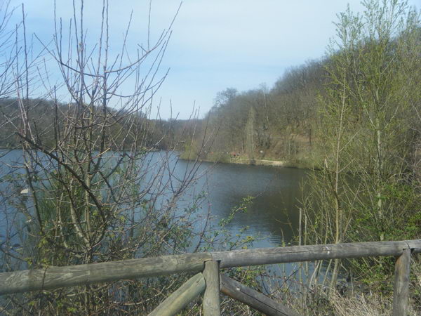 DSCF6362.jpg