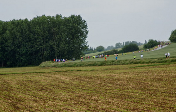 Marathon_2014_-_186.jpg