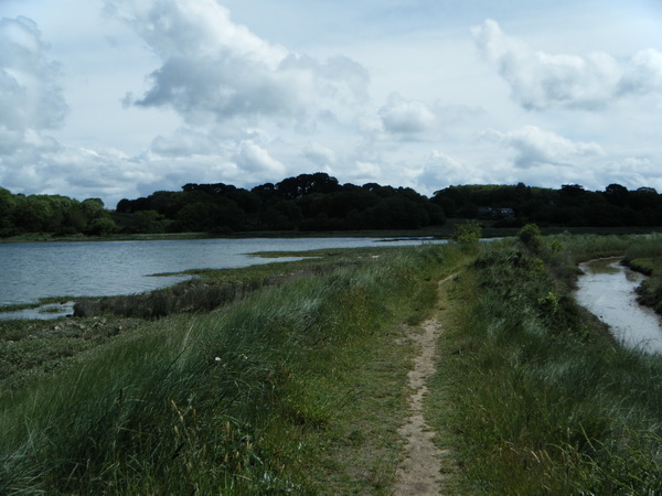 Réserve aux oiseaux marais de SENE