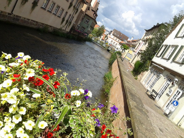 2014-08-24_12.15.08.jpg